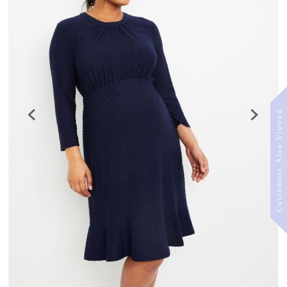 Navy Swiss Dot Fit And Flare Maternity Dress